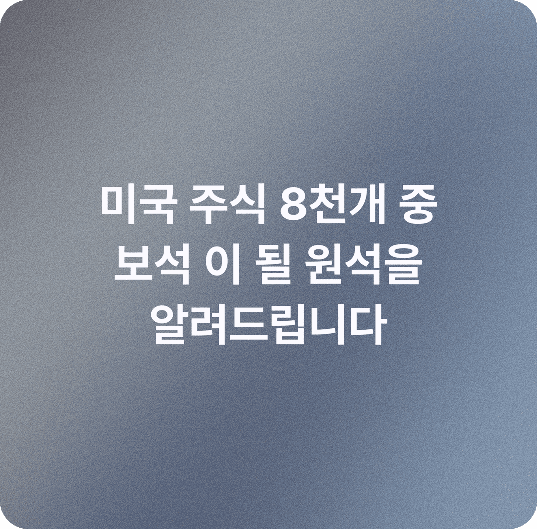 미국 주식 8천개 중 보석이 될 원석을 알려드립니다
